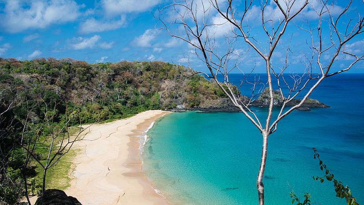 Baia do Sancho Brasil