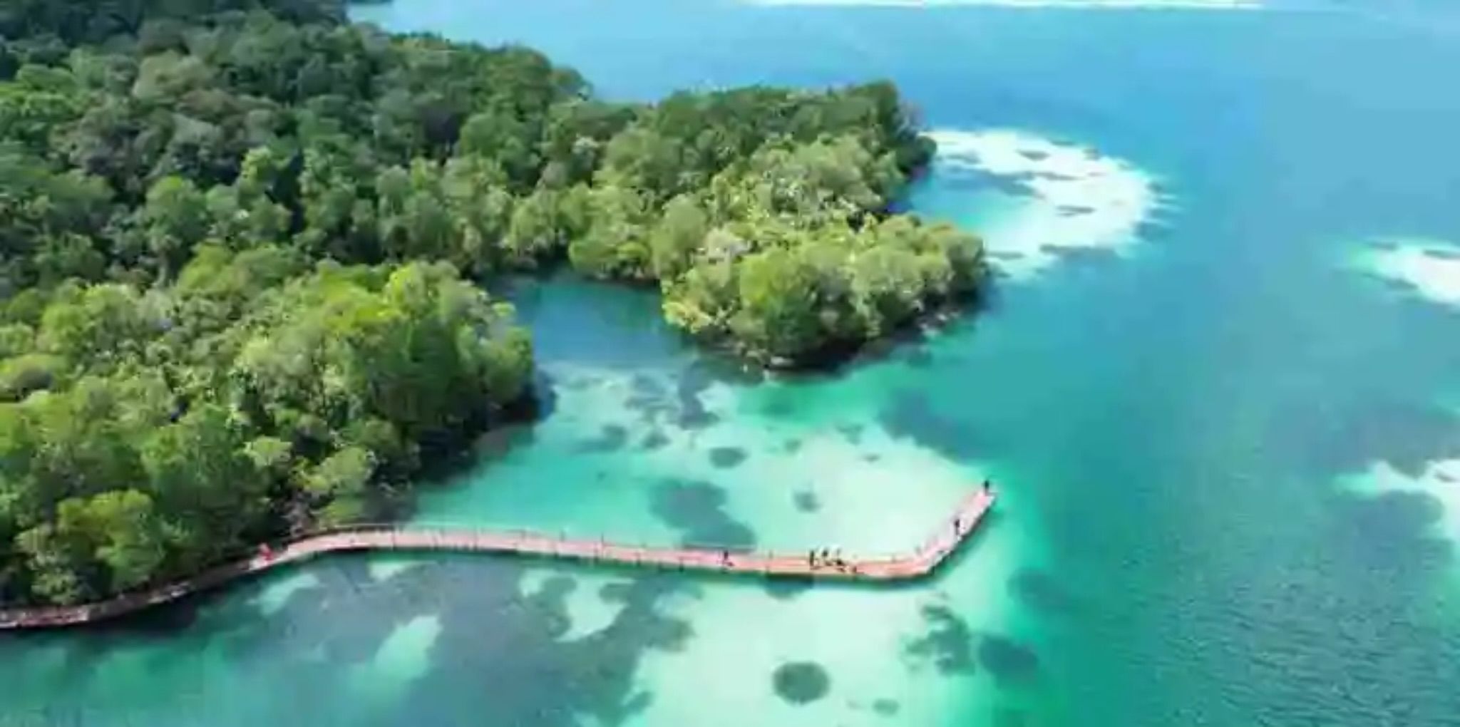 Danau Ubur-ubur Kakaban