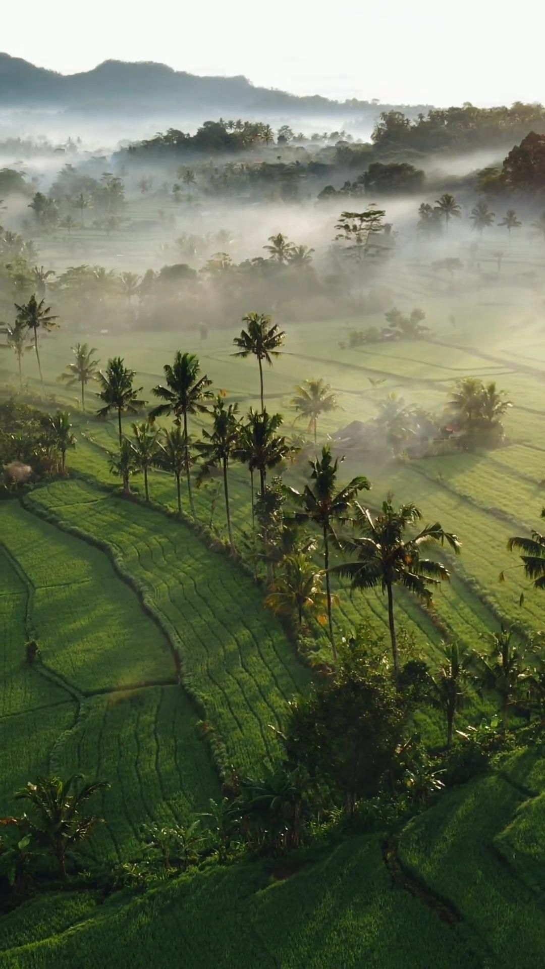 Desa Wisata Penglipuran Bali yang Bersih