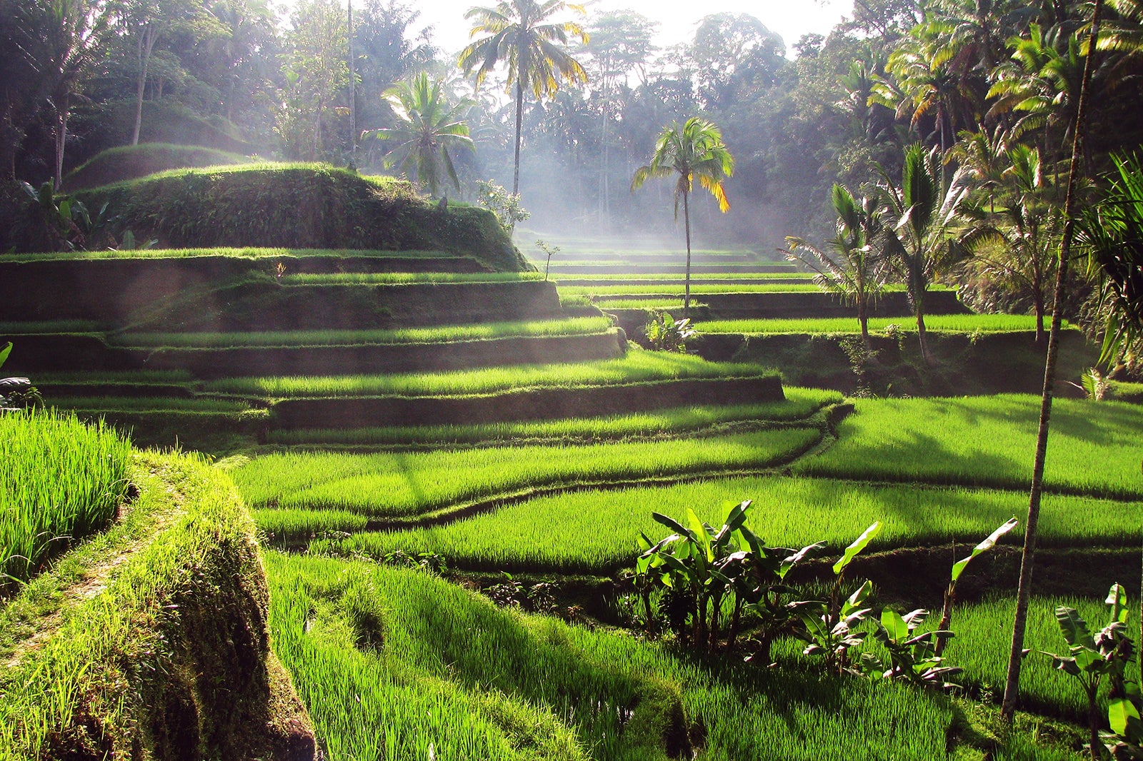 5 Destinasi Wisata Hits Indonesia 2026 Buat Self Reward: Healing Maksimal Ala Gen Z! Thumbnail